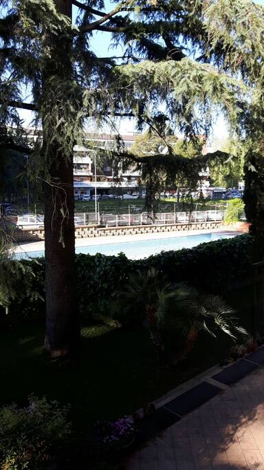 the pool as seen from the window