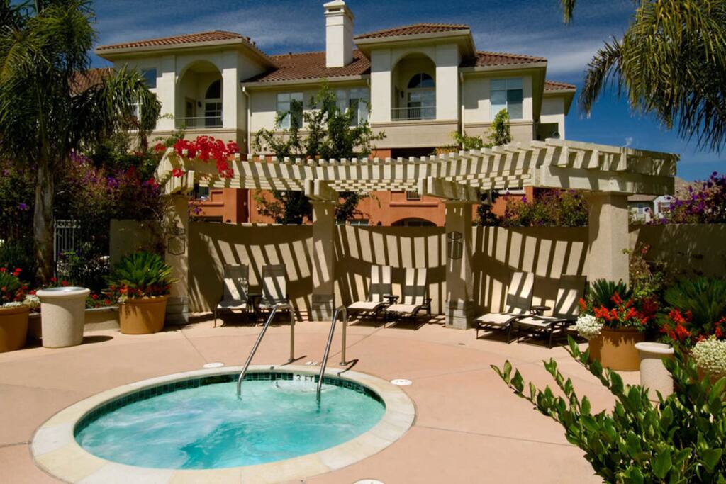 Beautiful pool and Jacuzzi