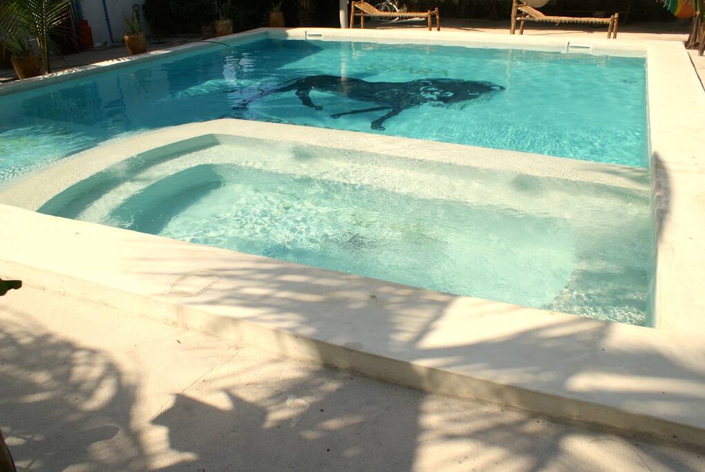Pool with smaller dipping pool for children/sunbathing