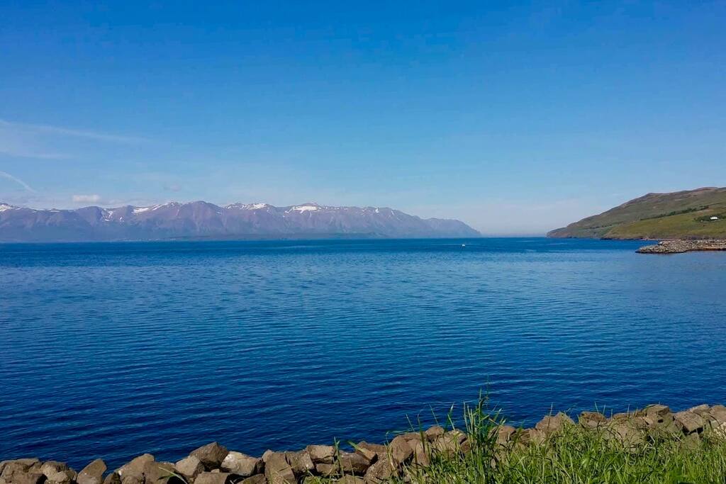 View from the house