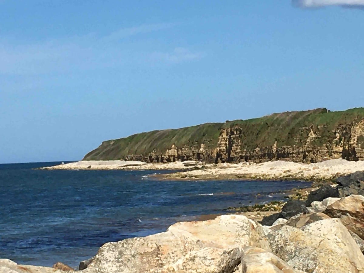 A rocky coastline is depicted, characterized by steep cliffs covered in lush greenery. The tranquil blue ocean gently laps against the shore, with a scattering of large boulders in the foreground, providing a natural barrier to the water.
