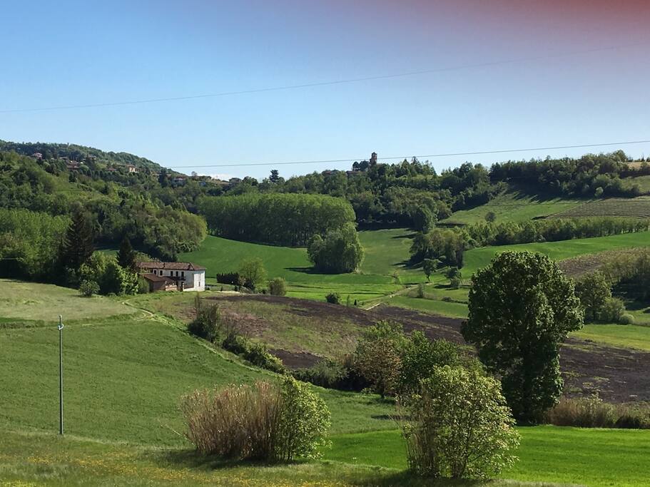 View from the terrace (1)