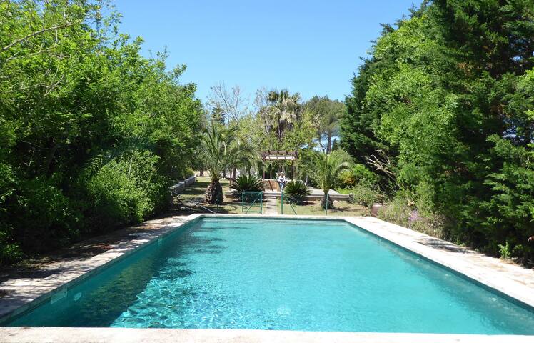 Menorcan Villa with exclusive Pool gallery image 4