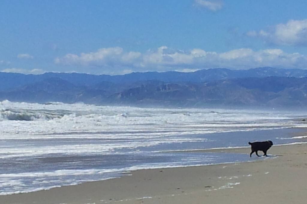 beautiful beach