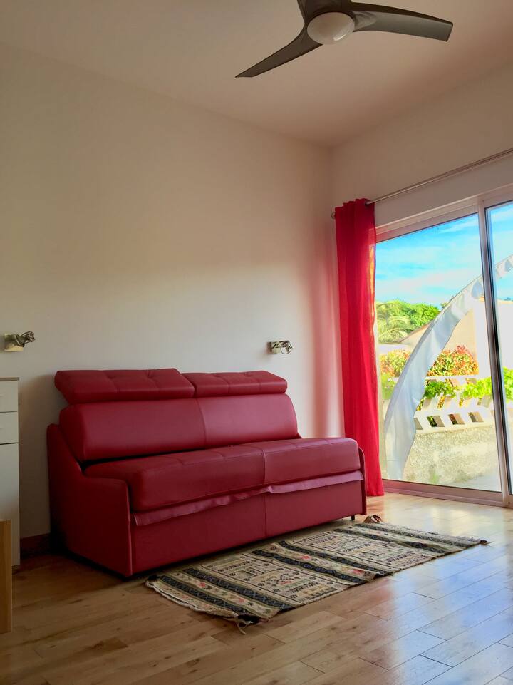 卧室/单间公寓，配备沙发床，非常舒适（还有一张真正的床）