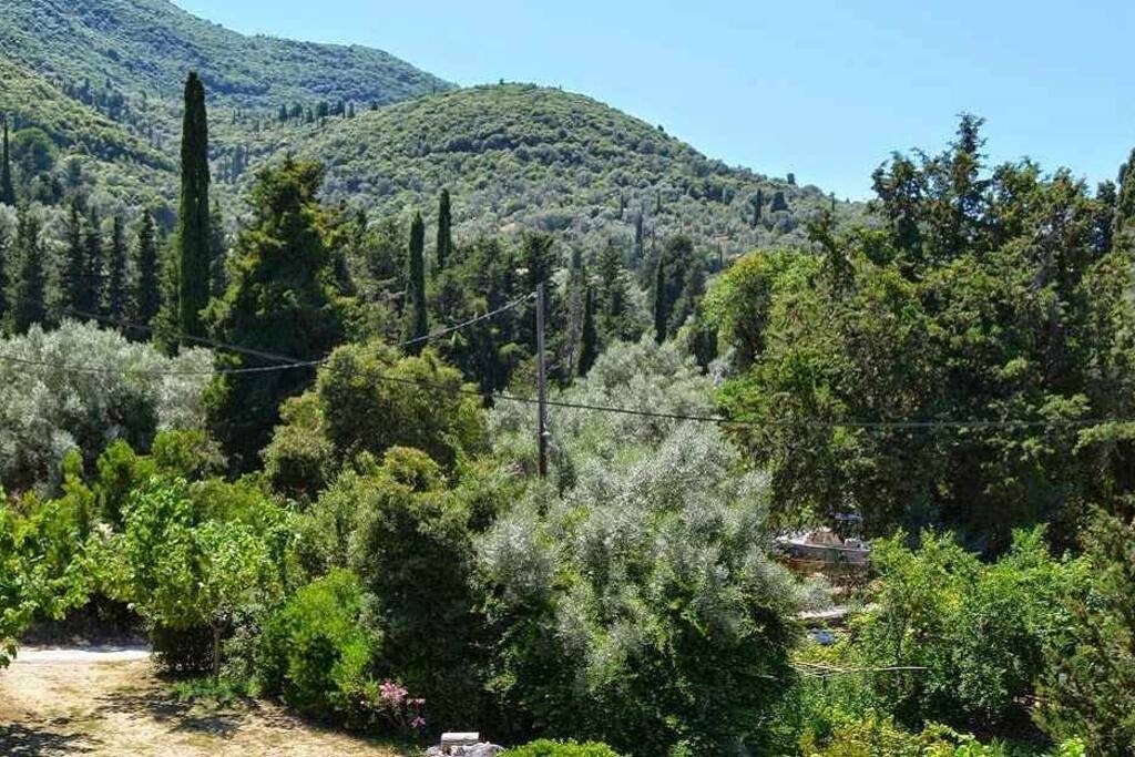 view from the balcony