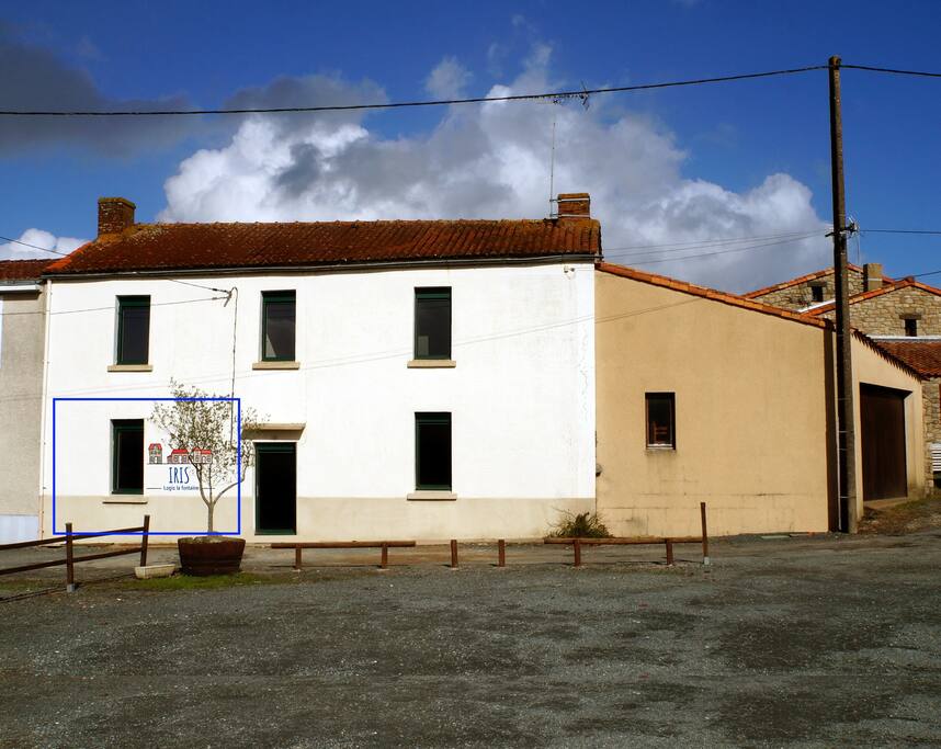 Studio Iris