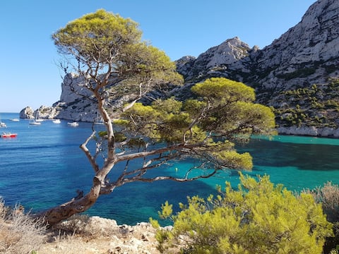 Airbnb performant: Air-conditioned studio and private parking in the city center à Marseille