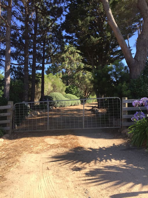 Entrance to the property