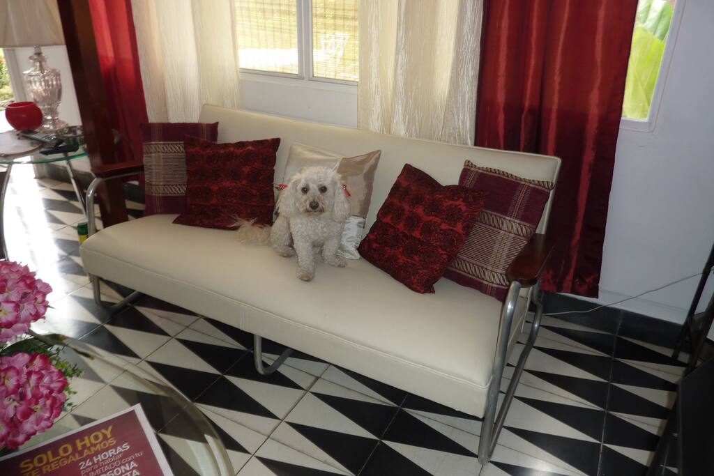 the queen of he house / la reina de la casa