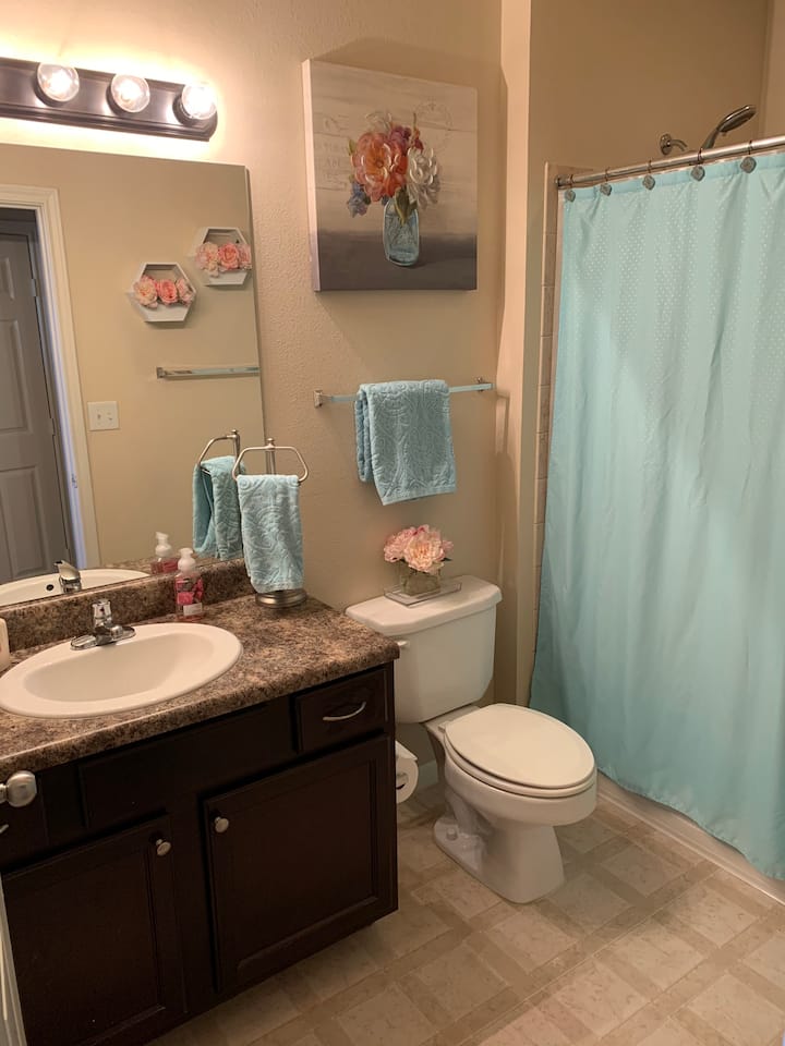 The Colony Vacation Rentals & Homes Texas, United States Airbnb