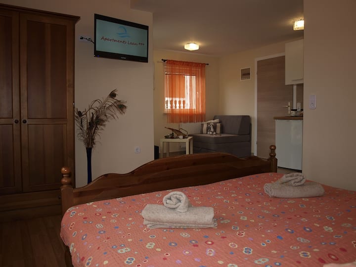 Apartment Lean 4 - Poreč