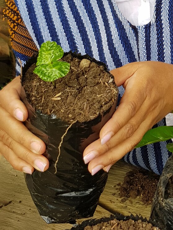 Mostrar imagem fornecida pelo anfitrião em ecrã inteiro