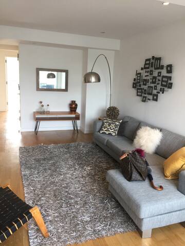 Luxury apt in the heart of Williamsburg gallery image 5