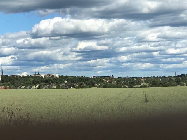 Countryside feeling close to the city