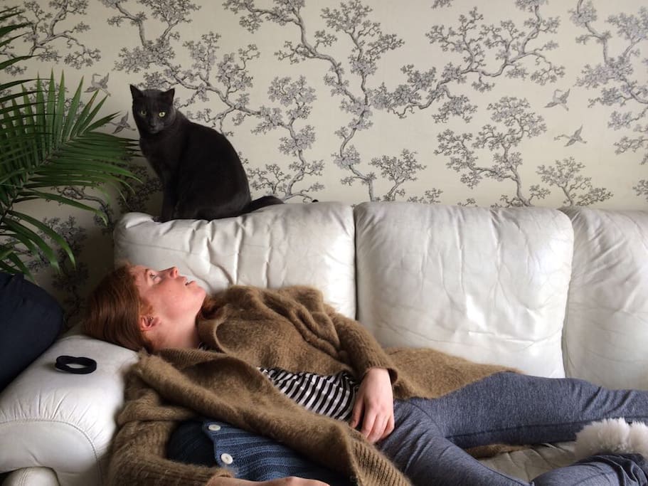 This is me and my cat lazing about on a cold Sunday afternoon