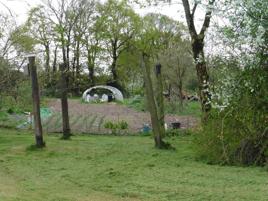 Grand jardin biologique
