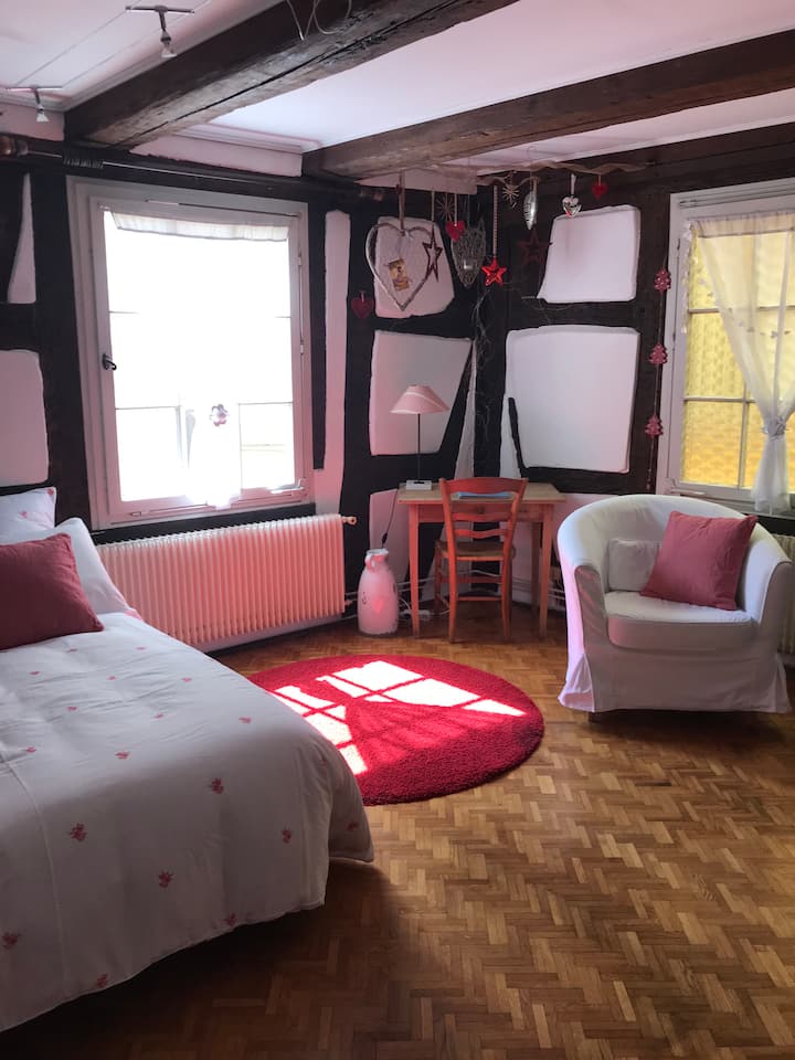 Gite, historical centre of Colmar Apartments for Rent in Colmar