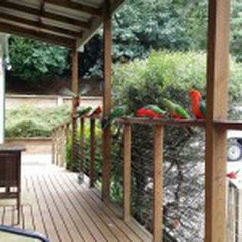 Wattletree Cottage gallery image 3