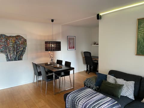Great apartment with a view near Copenhagen