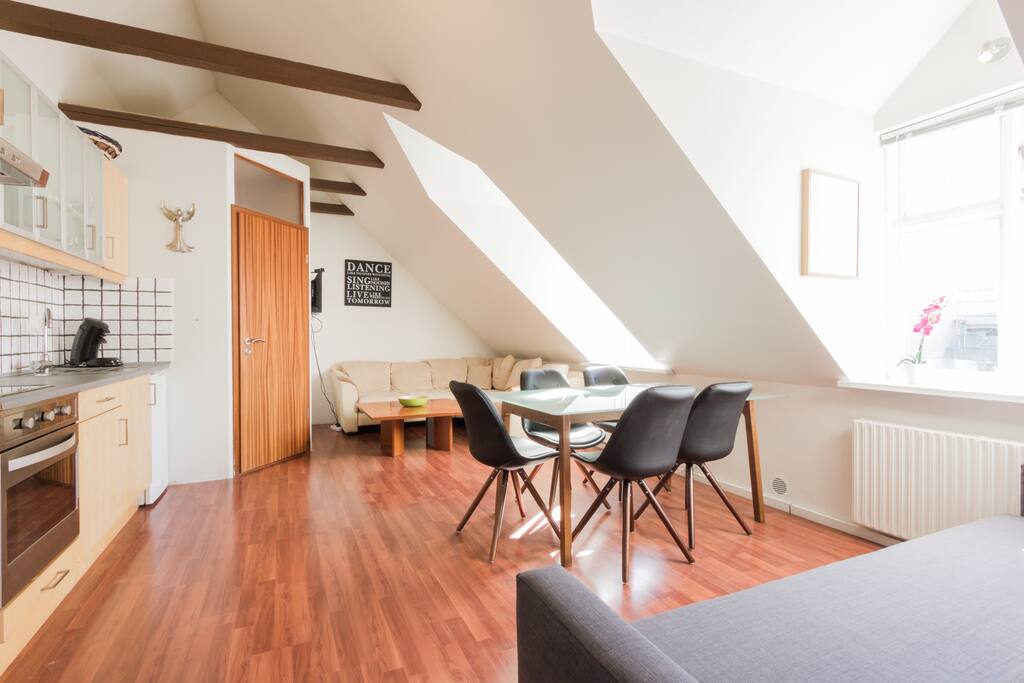 Kitchen, Dining Area and Sleeping Sofa