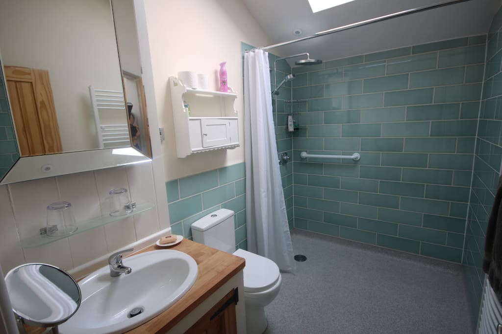 Spacious wet room adapted for wheelchair access