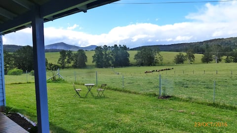 Farm House Accomodation near bush and beaches