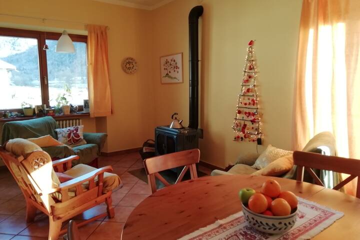 Nice room for holiday in the Alps