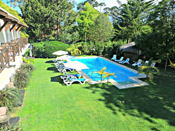 An outdoor area features a heated pool surrounded by green grass and palm trees. Lounge chairs are arranged around the pool, with a shaded area provided by a gazebo. Lush vegetation and trees create a serene environment for relaxation.