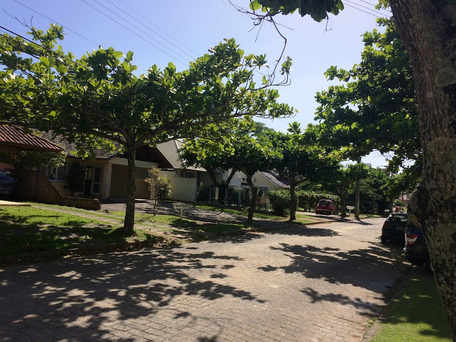 Rua em frente a casa