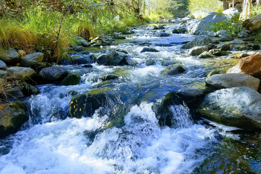 View of Creek directly behind the house, which runs year round