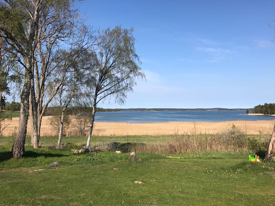 Utsikt från trädgården
