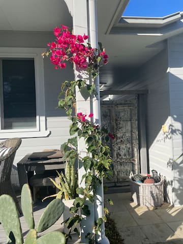 BYRON BAY BEACHSTYLE FAMILY HOME gallery image 4