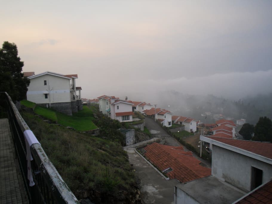 window view-