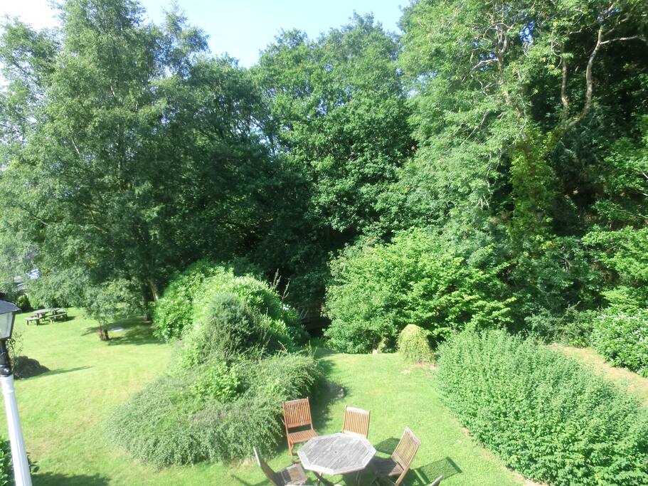 Garden view