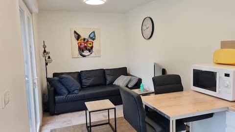 Annonce Airbnb populaire: Riverfront guest house with Jacuzzi à Épinal