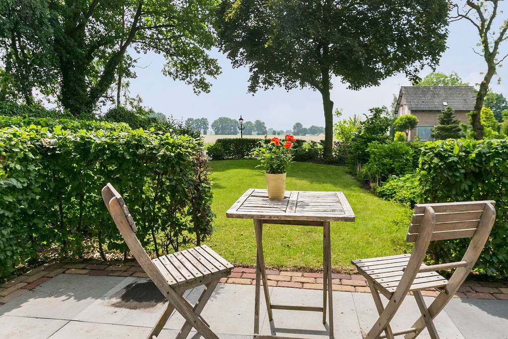 Terras en tuin
