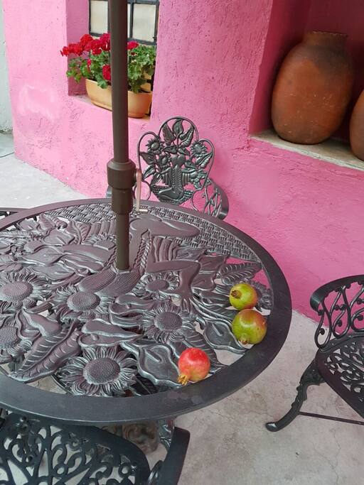 Jardin / Garden area