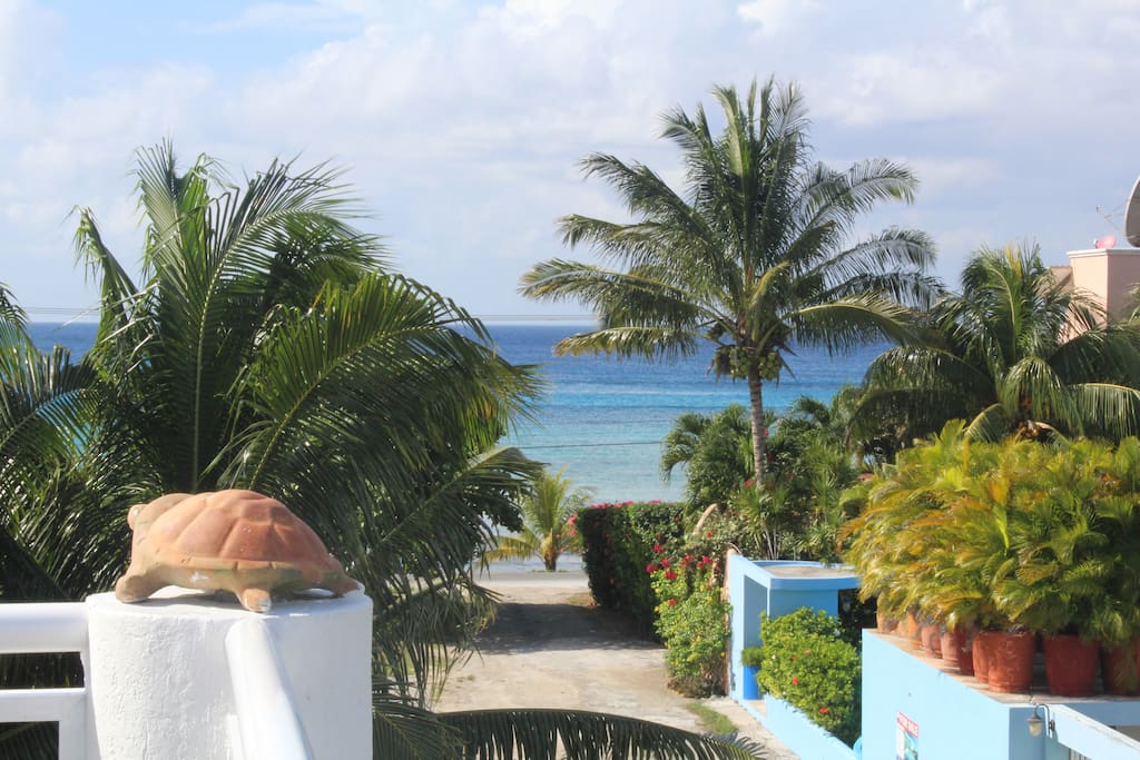 View of the Water from the Terrace.