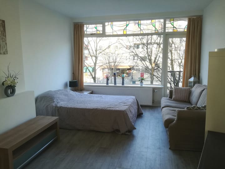 Whole Apartment In Rotterdam Center - Rotterdam