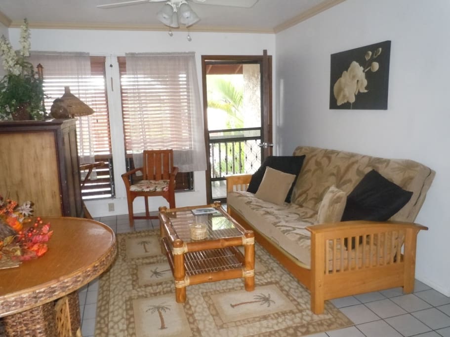 Living Room facing Front Door / TV, DVD, Wifi in Cabinet