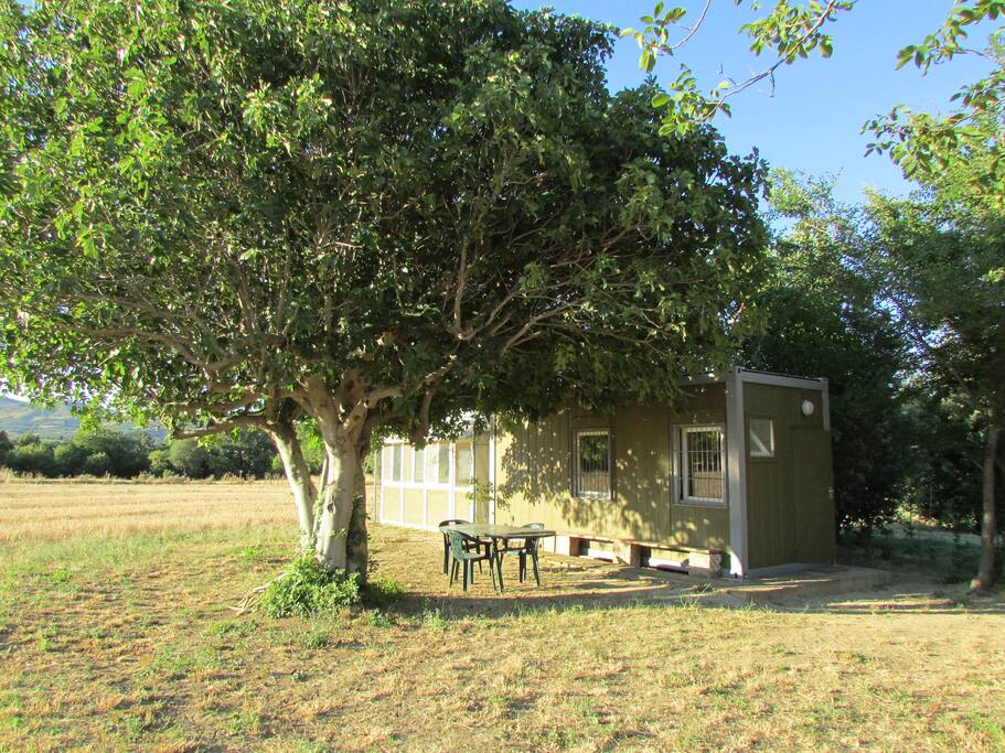 bungalow's garden