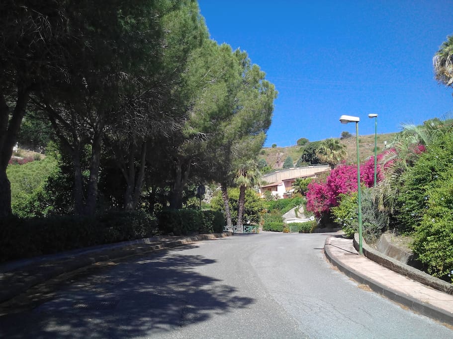 viale d'accesso del residence
