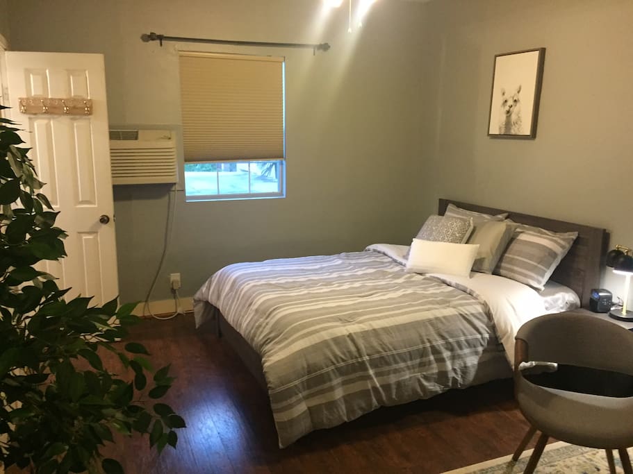 Queen Bed in Studio with curtain to separate