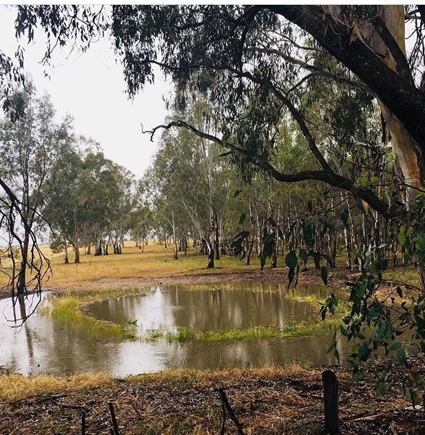 6 Best Cabin Rentals In Echuca, Australia Updated 2024 Trip101