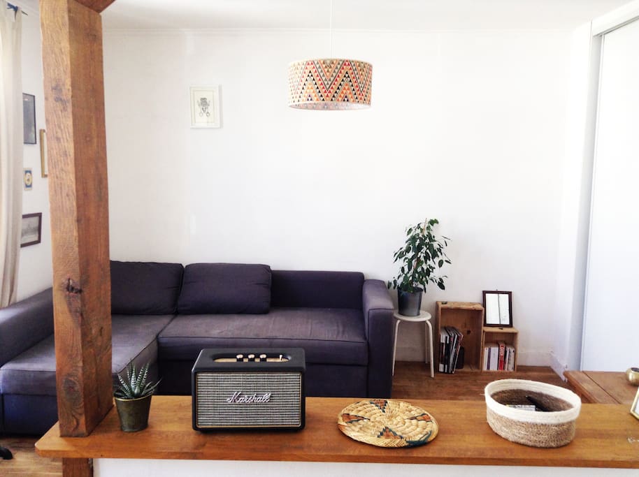 Our living room. Big sofa that can accommodate two people. We have blankets and pillows. Large closets on the right side to