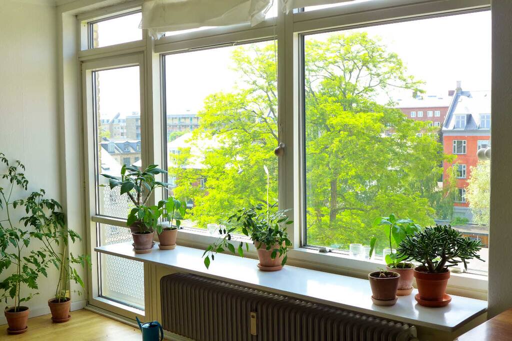 View from the living room