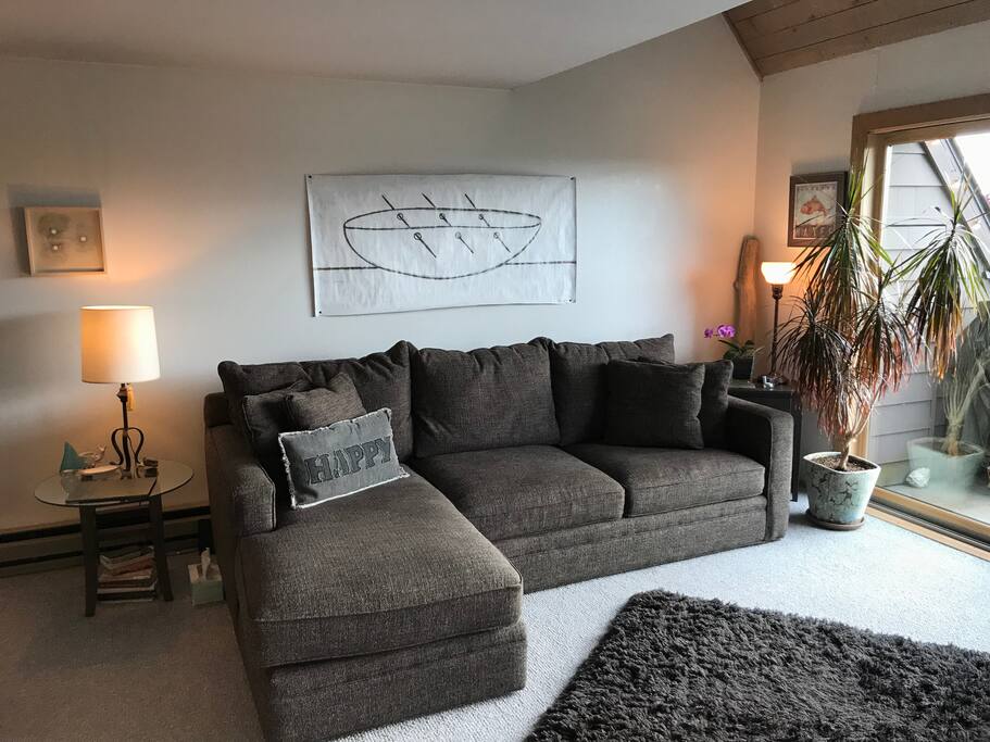 Enjoy our super comfy Room & Board couch with more than enough space for two!