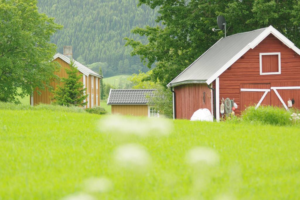 view from the farmroad where you will arrive by bike, foot or car. The grass road continues passed the red boathouse and to the house.