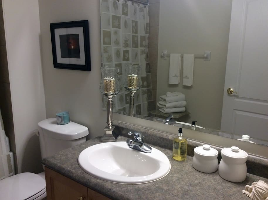Your guest bathroom